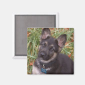 Schattige Puppy Magneten (Voorkant / Achterkant)