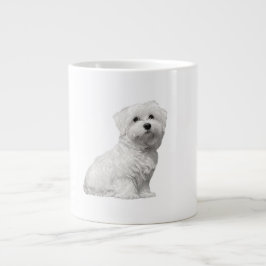 Schattige Puppy Maltezer Lili Grote Koffiekop