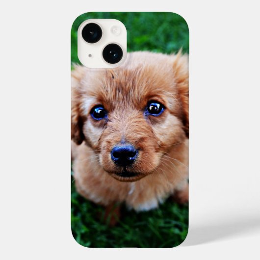 Schattige Puppy Mooie Foto  Case-Mate iPhone Case (Achterkant)
