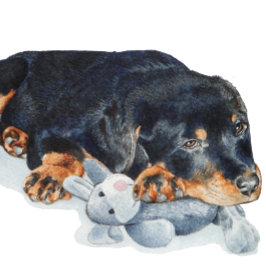 schattige puppy rottweiler die teddybeer verknalle legpuzzel
