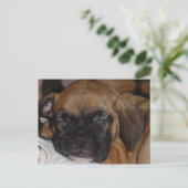 Schattige Puppy Slaping Post Card Briefkaart (Staand voorkant)