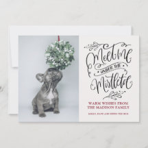 Schattige Puppy Snuffelt aan Mistletoe Kerstmis