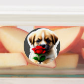 Schattige Puppy Stickers Collectie (Aangebracht)