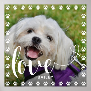 Schattige Puppy Valentijnsdag Pet Puppy Dog Foto Poster