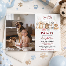 Schattige puppyhondjongen 1e verjaardag | Pawty-ti