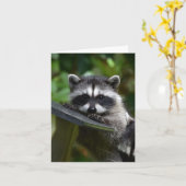 Schattige Raccoon Baby! Kaart (Gele Bloem)