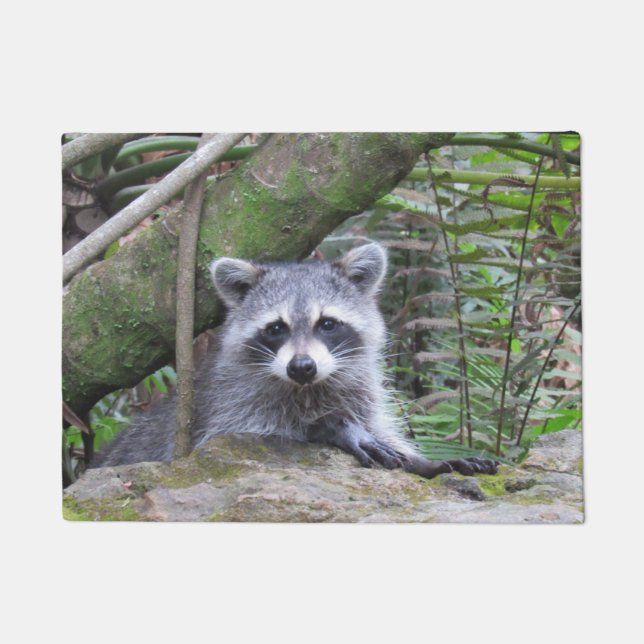Schattige Raccoon Doormat Deurmat (Voorkant)