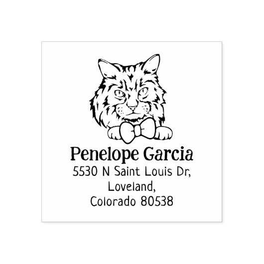 Schattige Ragamuffin Cat Retouradres Rubberstempel (Afrduk)