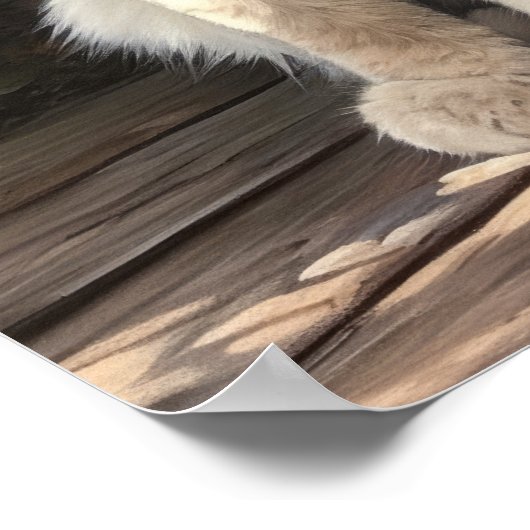 Schattige Ragdoll Cat Art Print Poster (Hoek)