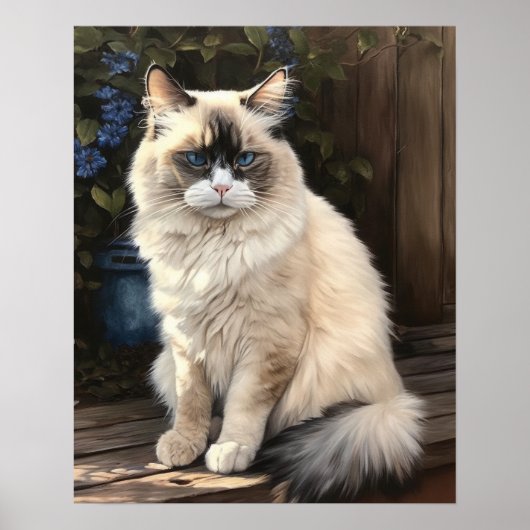 Schattige Ragdoll Cat Art Print Poster (Voorkant)