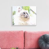 Schattige Ragdoll Cat Canvas (Insitu (Woonkamer))