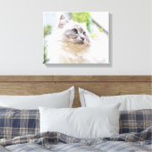 Schattige Ragdoll Cat Canvas (Insitu (Slaapkamer))