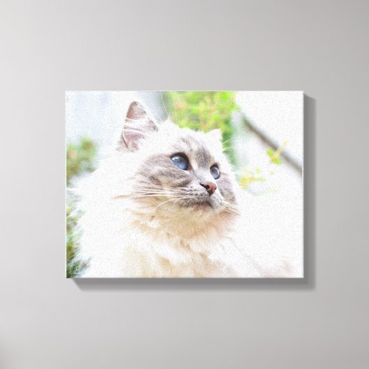 Schattige Ragdoll Cat Canvas (Voorkant)