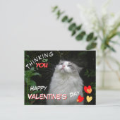 Schattige Ragdoll Cat Happy Valentijnsdag Briefkaa Briefkaart (Staand voorkant)