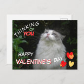 Schattige Ragdoll Cat Happy Valentijnsdag Briefkaa Briefkaart (Voorkant / Achterkant)