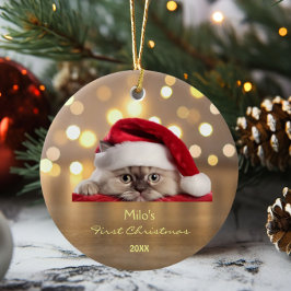 Schattige Ragdoll Cat Santa Hat Paw Gold gepersona Keramisch Ornament