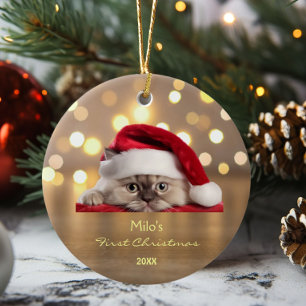 Schattige Ragdoll Cat Santa Hat Paw Gold gepersona Keramisch Ornament