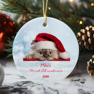 Schattige Ragdoll Cat Santa Hat Paw Snow gepersona Keramisch Ornament