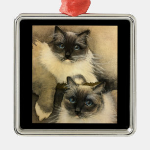 Schattige Ragdoll-katten met heldere blauwe ogen Metalen Ornament