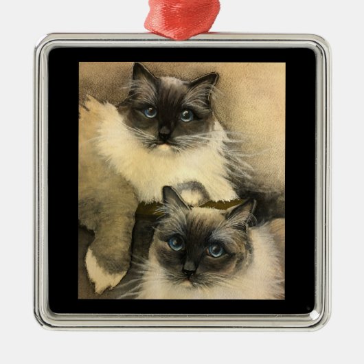Schattige Ragdoll-katten met heldere blauwe ogen Metalen Ornament (Voorkant)