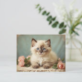 Schattige Ragdoll Kitten Portrait Flowers Sweet Briefkaart (Staand voorkant)