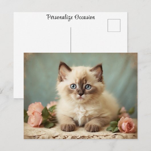 Schattige Ragdoll Kitten Portrait Flowers Sweet Briefkaart (Voorkant / Achterkant)