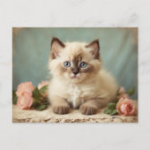 Schattige Ragdoll Kitten Portrait Flowers Sweet Briefkaart (Voorkant)