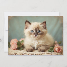 Schattige Ragdoll Kitten Portrait Flowers Sweet Feestdagenkaart