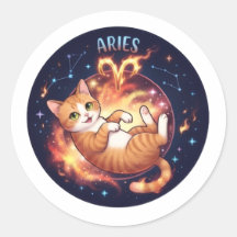Schattige Ram Kat Galaxy Ruimte Sterrenbeeld