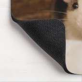 Schattige rat muismat (Hoek)