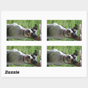 schattige rat rechthoekige sticker