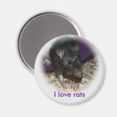 Schattige rat steekt uit zijn tong magneet (Voorkant / Achterkant)