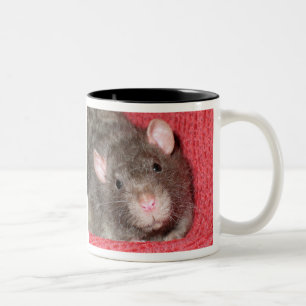 Schattige Rat Tweekleurige Koffiemok