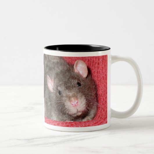 Schattige Rat Tweekleurige Koffiemok (Rechts)