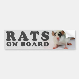 (Schattige) ratten aan boord Bumpersticker