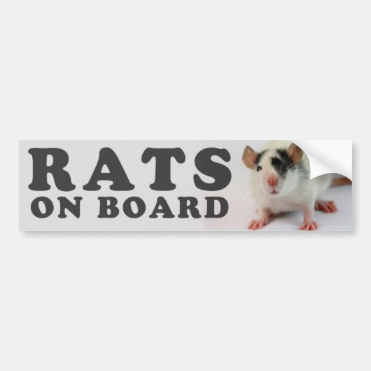 (Schattige) ratten aan boord Bumpersticker (Voorkant)