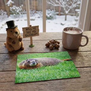 Schattige realistische bosmarmot die in groen gras briefkaart