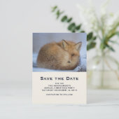 Schattige Red Fox Curled Up Winter Foto Save the D Uitnodiging Briefkaart (Staand voorkant)