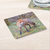 Schattige Red Fox Onderzetter (Schuin)