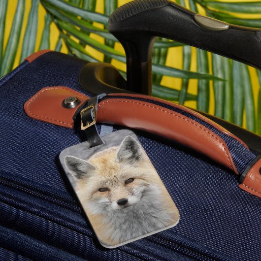 Schattige Red Fox Wildlife Foto Bagagelabel (Voorkant Insitu 1)