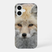 Schattige Red Fox Wildlife Foto iPhone 16 Hoesje (Achterkant)