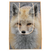 Schattige Red Fox Wildlife Foto Medium Cadeauzakje (Achterkant)