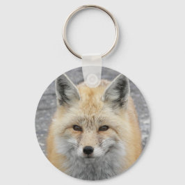 Schattige Red Fox Wildlife Foto Sleutelhanger