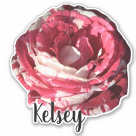 Schattige Red Rose Monogram Naam Bloem Natuur Plan Sticker