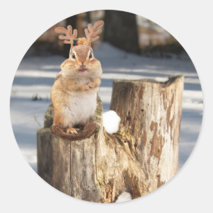 Schattige "rendier" Chipmunk Ronde Sticker