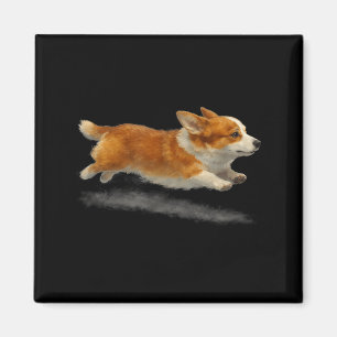 Schattige rennende hond grappige corgi rennende ku magneet