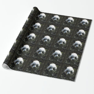 Schattige Reuzenpanda Beer met smakelijke Bamboe B Cadeaupapier