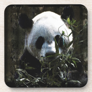 Schattige Reuzenpanda Beer met smakelijke Bamboe B Drankjes Onderzetter