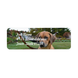 Schattige Rhodesian Ridgeback Etiket