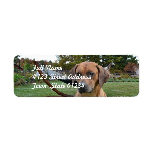 Schattige Rhodesian Ridgeback Etiket (Voorkant)